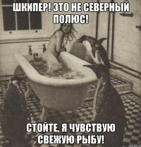 шкипер! это не северный полюс! стойте, я чувствую свежую рыбу!