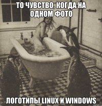 то чувство, когда на одном фото логотипы linux и windows