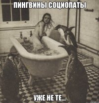 пингвины социопаты уже не те...