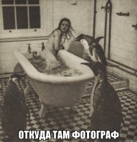  откуда там фотограф