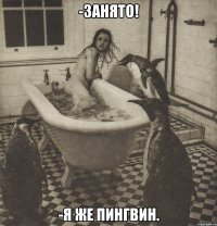 -занято! -я же пингвин.