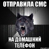 отправила смс на домашний телефон