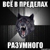 всё в пределах разумного