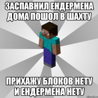 заспавнил ендермена дома пошол в шахту прихажу блоков нету и ендермена нету