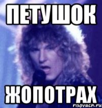 петушок жопотрах