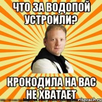 что за водопой устроили? крокодила на вас не хватает