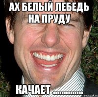 ах белый лебедь на пруду качает ..............