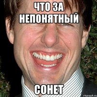 что за непонятный сонет