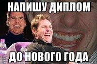 напишу диплом до нового года