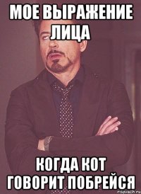 мое выражение лица когда кот говорит побрейся