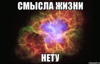 смысла жизни нету