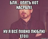 бля... опять кот насрал(( ну я всё повно люблю его))