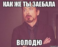 как же ты заебала володю