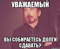 уважаемый вы собираетесь долги сдавать?