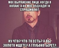 моё выражение лица, когда я копаю, а ко мне опдходят и спрашивают ну что? что-то есть? а вы золото ищете? а глубоко берет?