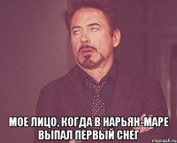  мое лицо, когда в нарьян-маре выпал первый снег