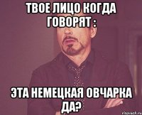 твое лицо когда говорят : эта немецкая овчарка да?