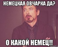 немецкая овчарка да? о какой немец!!