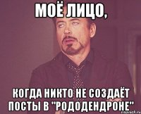 моё лицо, когда никто не создаёт посты в "рододендроне"