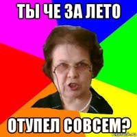 ты че за лето отупел совсем?