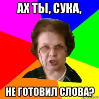 ах ты, сука, не готовил слова?