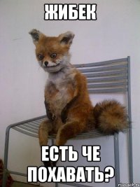 жибек есть че похавать?