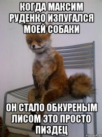 когда максим руденко изпугался моей собаки он стало обкуреным лисом это просто пиздец