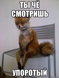 ты чё смотришь упоротый