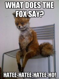 what does the fox say? hatee-hatee-hatee-ho!