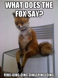 what does the fox say? ring-ding-ding-dingeringeding!