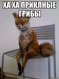 ха ха приклные грибы 