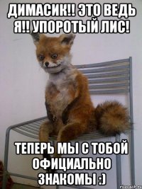 димасик!! это ведь я!! упоротый лис! теперь мы с тобой официально знакомы :)