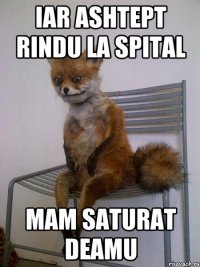 iar ashtept rindu la spital mam saturat deamu