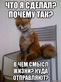 что я сделал? почему так? в чем смысл жизни? куда отправляют?