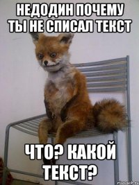 недодин почему ты не списал текст что? какой текст?