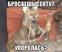 бросаешь секту? упоролась?