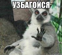 узбагойся 