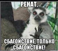 ренат, сбагойствие, только сбагойствие!
