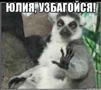 юлия, узбагойся! 