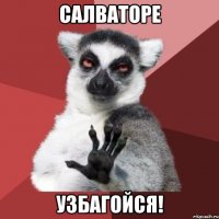 салваторе узбагойся!