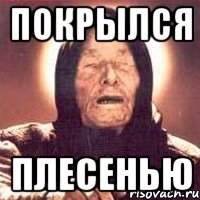 покрылся плесенью