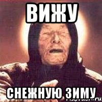 вижу снежную зиму