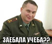  заебала учеба??