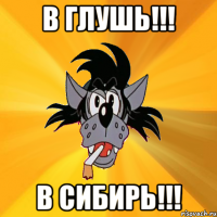 в глушь!!! в сибирь!!!