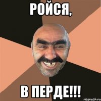 ройся, в перде!!!