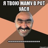 я твою маму в рот уася ****************