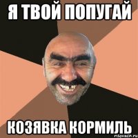 я твой попугай козявка кормиль
