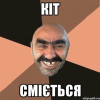 кіт сміється