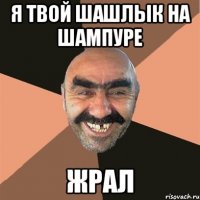 я твой шашлык на шампуре жрал