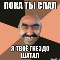 пока ты спал я твоё гнездо шатал